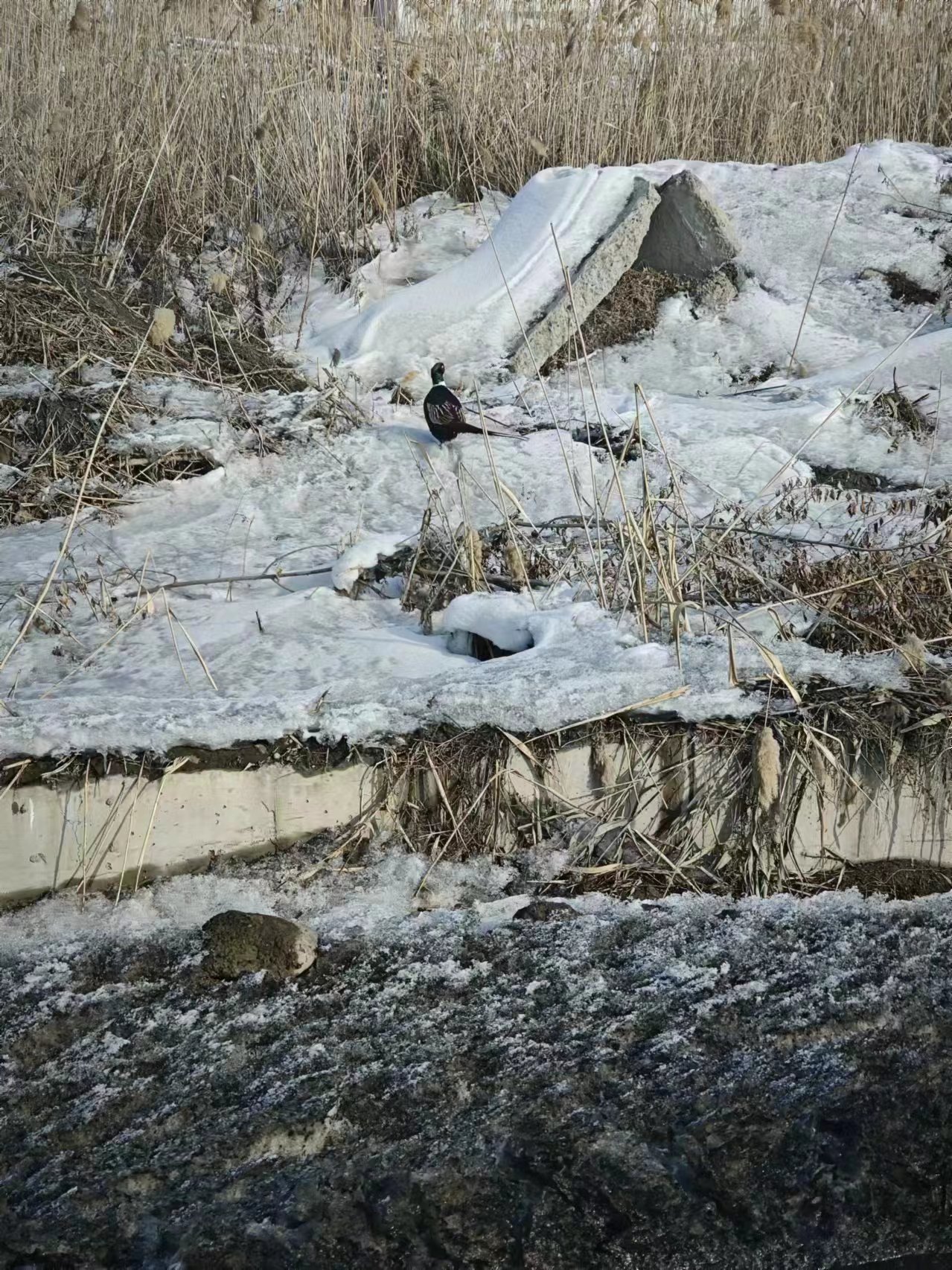 PGӡйٷվ-PGƽ̨Żվ