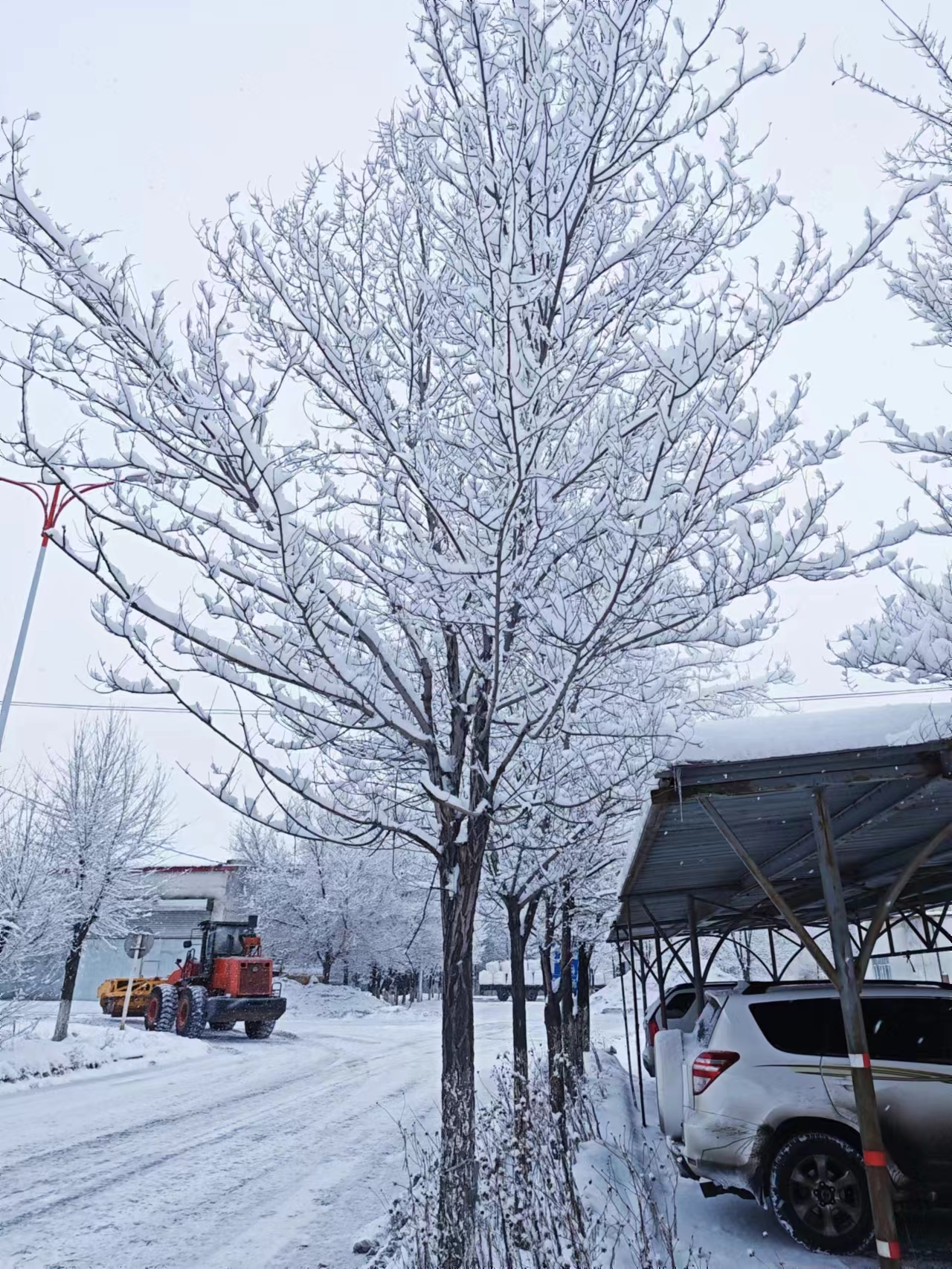 PGӡйٷվ-PGƽ̨Żվ