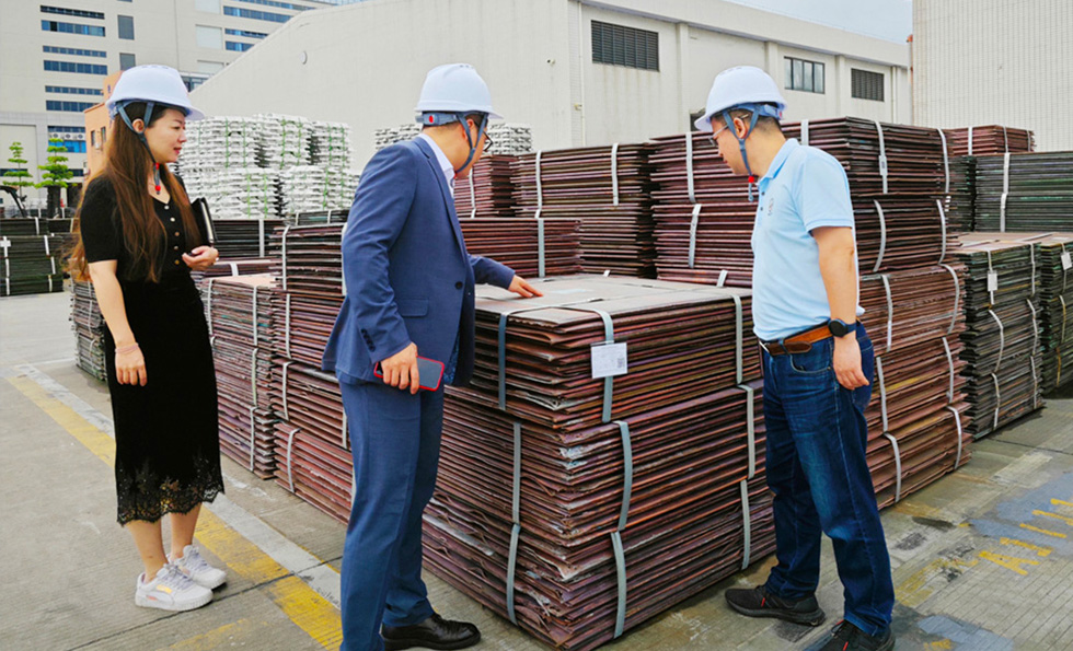 PGӡйٷվ-PGƽ̨Żվ