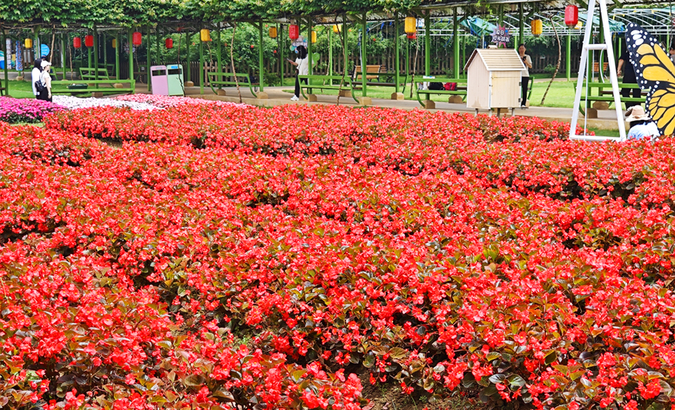 PGӡйٷվ-PGƽ̨Żվ