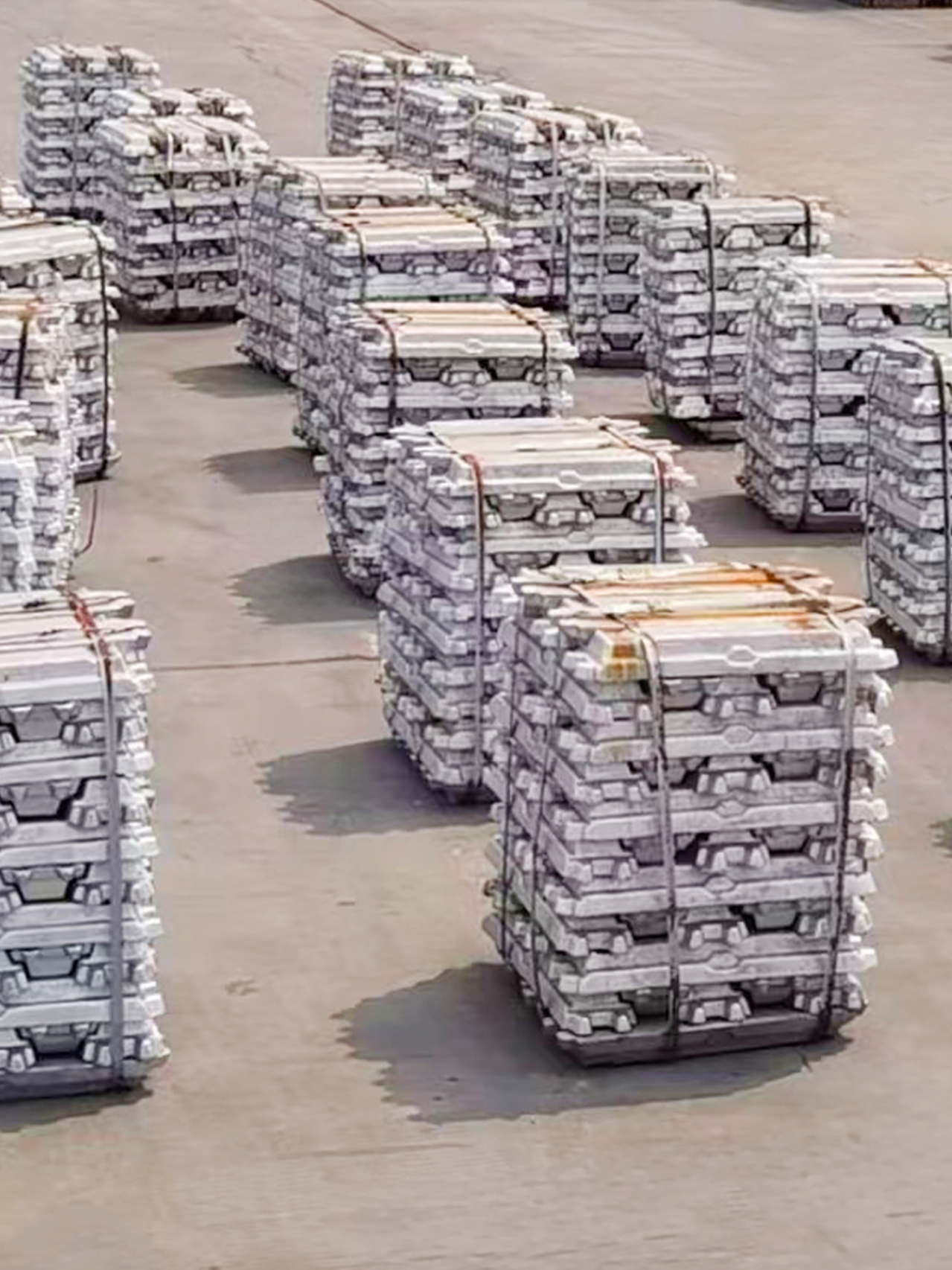 PGӡйٷվ-PGƽ̨Żվ